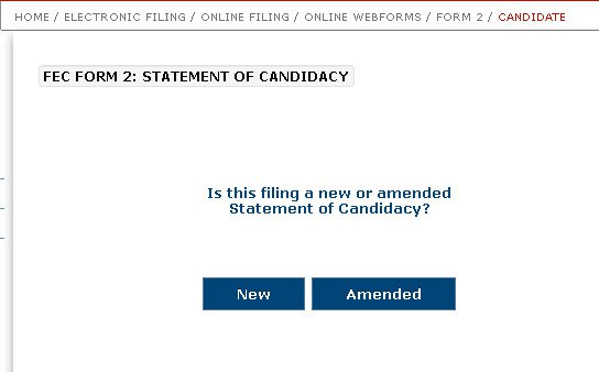 Webform Statement Candidacy Form 2.jpg