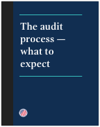 The audit process brochure